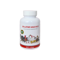 DI-A-ZYME GOLD PLUS / 100 GR PROBİYOTİK