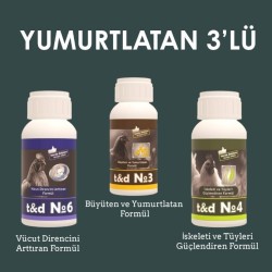 Yumurtlatan 3'lü Paket
