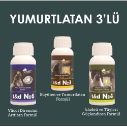 Yumurtlatan 3'lü Paket