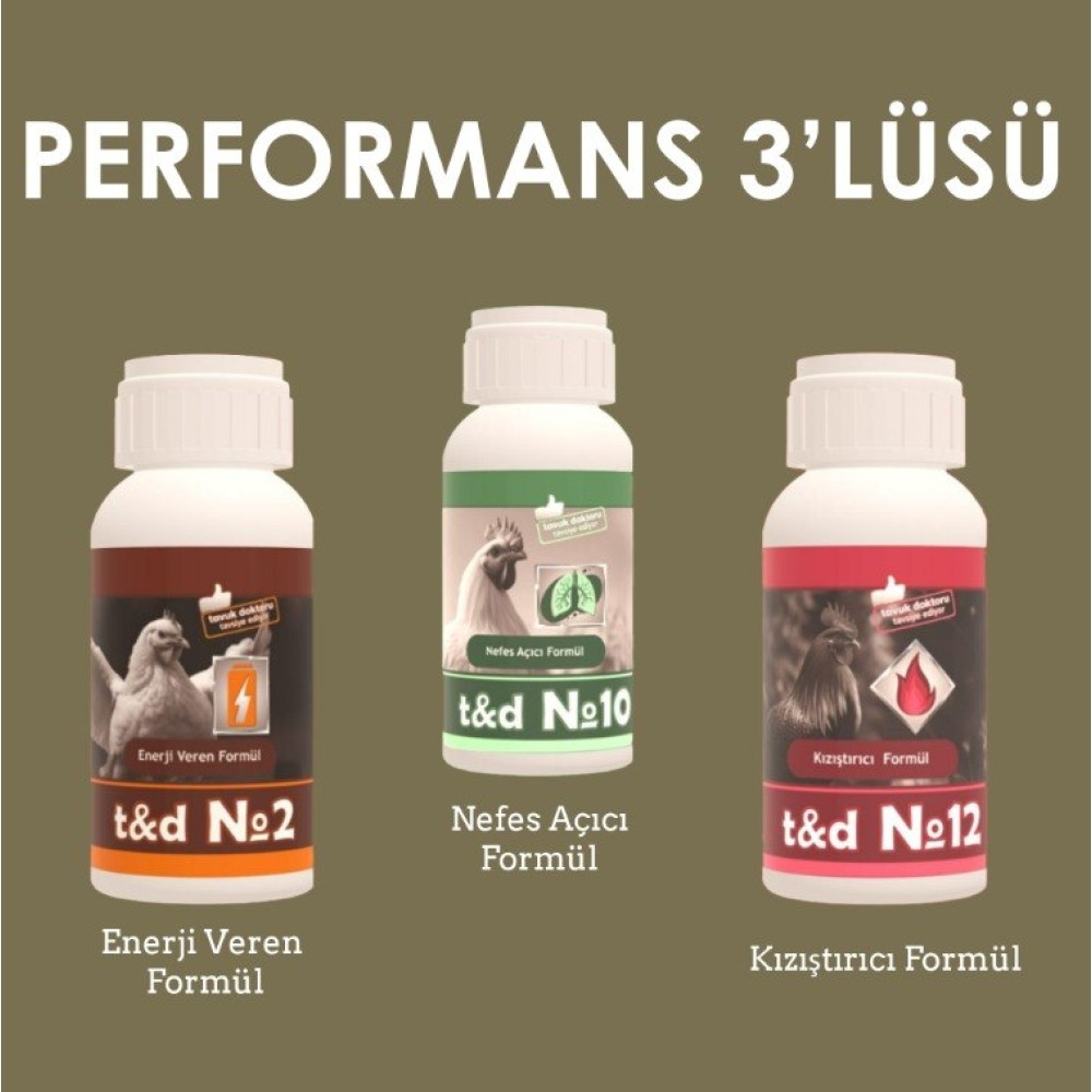 Performans 3'lüsü