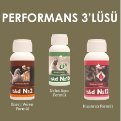 Performans 3'lüsü